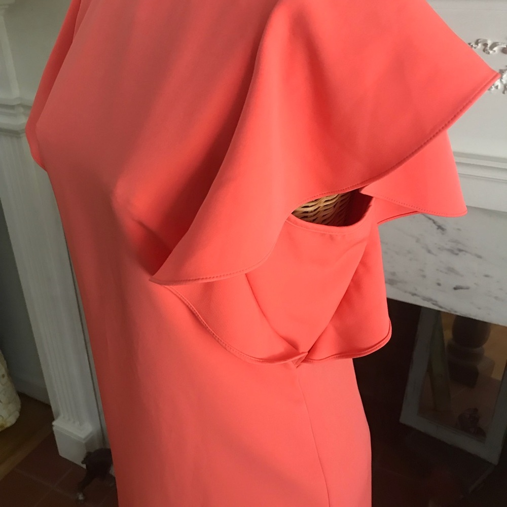 Sheath Dress Ruffled Sleeves - Picture 3 of 5